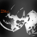 STASIS - Past Movements  (PEACEFROG)