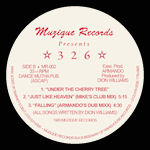 326 - Falling (Armando/Mike Dunn Remixes)  (MUZIQUE)