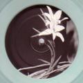 DUPLEX - Autosample EP  (FRANTIC FLOWERS)