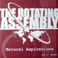 THEO PARRISH & THE ROTATING ASSEMBLY - Natural Aspirations Part 2  (SOUND SIGNATURE)