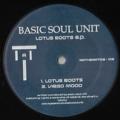 BASIC SOUL UNIT - Lotus Roots  (MATHEMATICS)