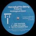 HIEROGLYPHIC BEING presents ANALAGOUS DOOM - Living In A Zome EP  (MATHEMATICS)