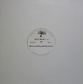 RICK WADE - Neverending Reflections  (HARMONIE PARK)
