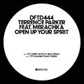 TERRENCE PARKER feat MERACHKA - Open Up Your Spirit  (DEFECTED)