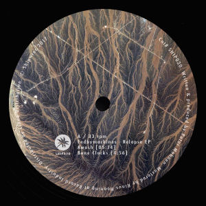 FEDBYMACHINES - Relapse EP (Ochre Remix)  (SHIPWREC)