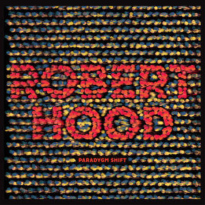 ROBERT HOOD - Paradygm Shift  (DEKMANTEL)