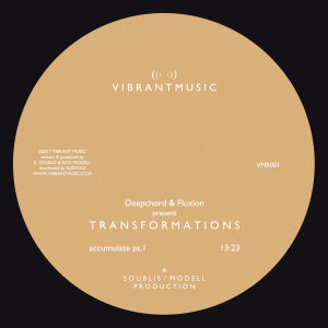 DEEPCHORD & FLUXION - Transformations: Accumulate EP  (VIBRANT MUSIC)