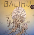 DANIEL WANG - The Best of Balihu Records 1993-2008 Part 2  (RUSH HOUR)